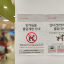밍키애견마트 | 홈플러스 강아지 출입 공식 답변 애견동반