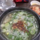 대전 유성구맛집 태평소국밥 &amp;마시내 본점 김피탕 내돈내산 후기