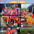 금파농장 이미지