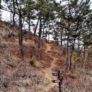 대전 약해산.야해산(若海山) 221M 탑봉(塔峰) 140M -대청호 근교산- 이미지