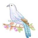 옥동공인중개사사무소 이미지