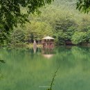 봉암동199 이미지