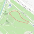 황산공원 농구장 | [양산] 24.04.07. 튤립과 유채꽃이 만발한 황산공원 방문 후기