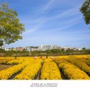 태화강국가정원 이미지