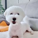 그루밍아이엠 이미지
