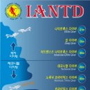 엔티디