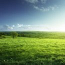 씨앗발전소 이미지