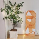 밝은마음 | 분당부부상담 삶의 혼란 속 평화를 찾다: 밝은마음상담센터 후기