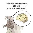 싱싱슈퍼 이미지