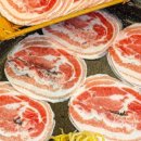 수영냉삼 이미지