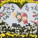 연산대추축제 네이버블로그