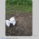 뽀송 이미지