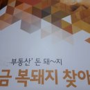 돈 돼 지 네이버블로그