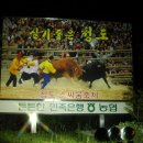 청도가는길 이미지