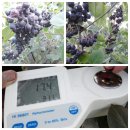 김동진농장 이미지