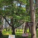 대왕암공원미로원화장실 이미지