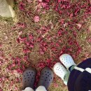 헐크공인중개사사무소 이미지