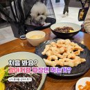 김연복 | 수지 롯데몰에서 강아지랑 자장면 먹는 법! 신차이 애견동반 꿀팁 (중식 4대 문파)