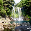 천제연폭포 이미지