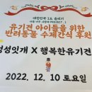 정성잇개 이미지
