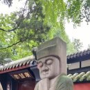 청정라이프