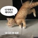 UR(서울특별시 동작구)-[사당로]-하-7 | 능소화가 피고 녹음이 짙어지는