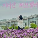 지리산밸리 이미지