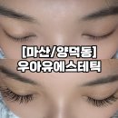 우아유 | 마산 양덕동 속눈썹 연장, ‘우아유 에스테틱’에서 인생 속눈썹 만난 후기