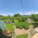 치상농장 이미지