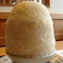 봄날의 햇살 이미지