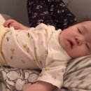 자연아이발트슐레어린이집 이미지