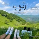 [정선] 민둥산 돌리네 최단코스 후기 + 웰빙한방마을 오리백숙