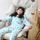 컴퓨터 | 인체공학적 게이밍 컴퓨터 의자XH930A 후기