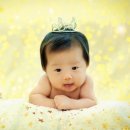아이라임스튜디오