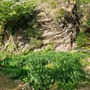 공암나루근린공원 | 구암근린공원(허준공원)