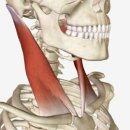 바디필 헬스 스피닝 이미지