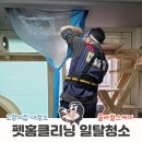 (주)클라헬스케어 | 봄맞이 고양이집 대청소 에어컨청소 클라헬스케어 펫홈클리닝