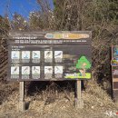 생태습지 이미지