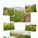 실미농장 이미지