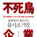 등불기업 이미지