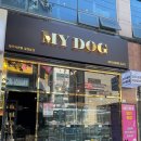 마이도그(My Dog) 이미지