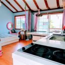 솔푸른향기애견 이미지