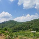 박선희농장 이미지