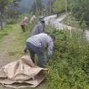 김천공단정비 이미지