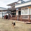 솔머리펜션 이미지