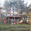 청송자연휴양림 이미지