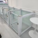 몽 그루밍 이미지