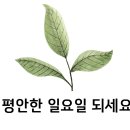 새 구정프라자약국 이미지