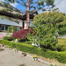 하나린유치원 이미지