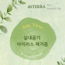 브로칸트 하우스 이미지